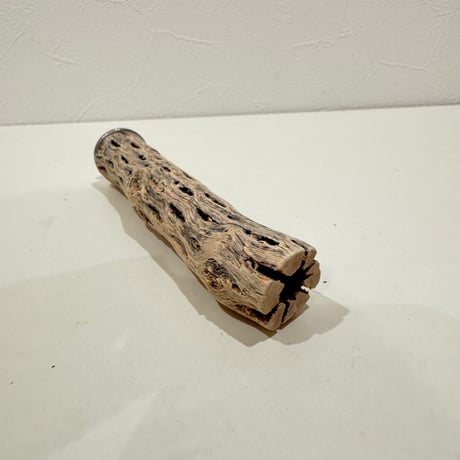 カクタスパーチ極小サイズ 直径2.7-3cm/長さ15cm⑩【自然木 止まり木 バンブルフット 趾瘤症 】