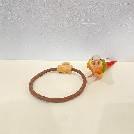 自然木（ツタ）のドーナツパーチ　約17cmの円形/ツタ直径1cm