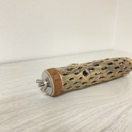 カクタスパーチ⑥ 極小サイズ 直径（約2-3cm）長さ/15cm
