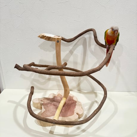 ツタのぐるぐるアスレチック【インコ 天然木 自然木 パーチ 止まり木】