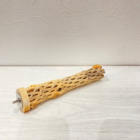 カクタスパーチ⑫ 小サイズ長さ19.5cm