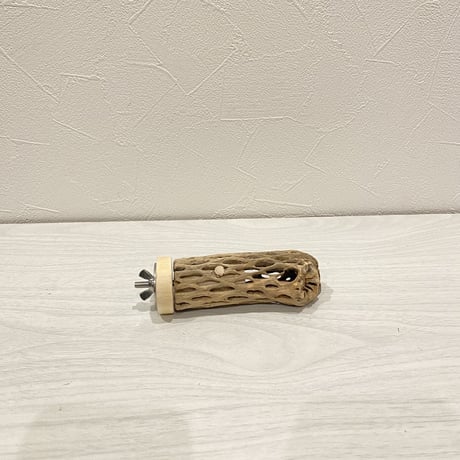 カクタスパーチ【3】極小 直径約2-3cm/10cm