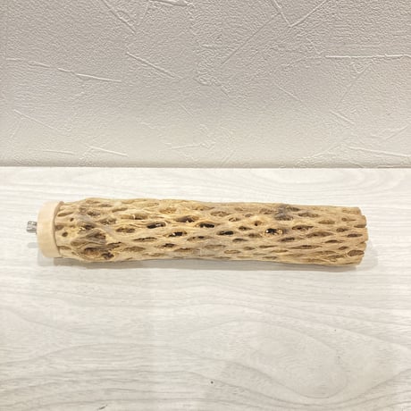 カクタスパーチ小㉔ 直径約3~4cm 長さ20cm