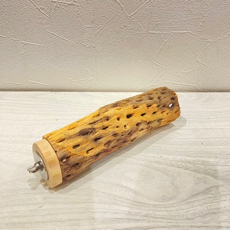 カクタスパーチ【25】直径4~5cm/長さ17cm
