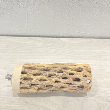 カクタスパーチ④  小　直径4cm前後 長さ10cm