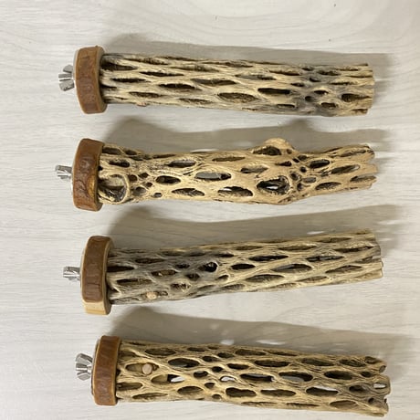 【T様専用】カクタスパーチ 極小サイズ 直径（約2-3cm）長さ：15cm