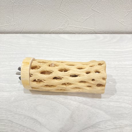 カクタスパーチ【1】中 直径約5cm 長さ10cm