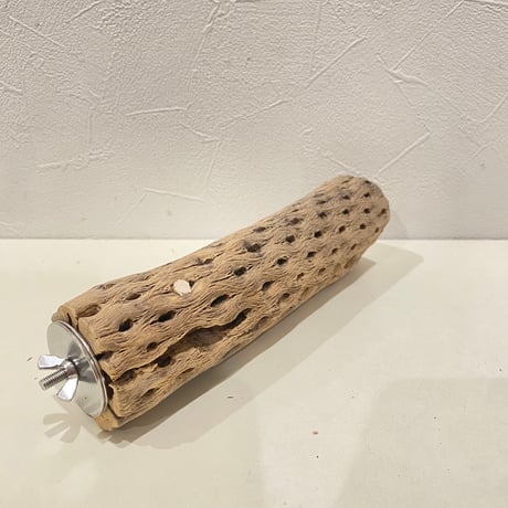 カクタスパーチ(S) 直径約5cm/長さ20cm