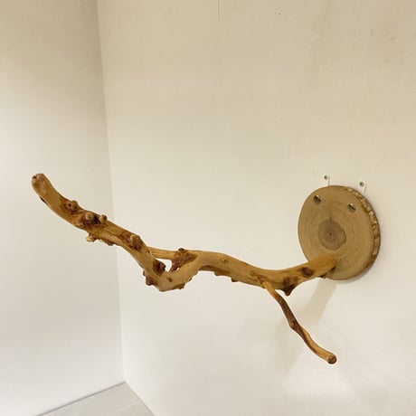 ピノキオの鼻 ⑦