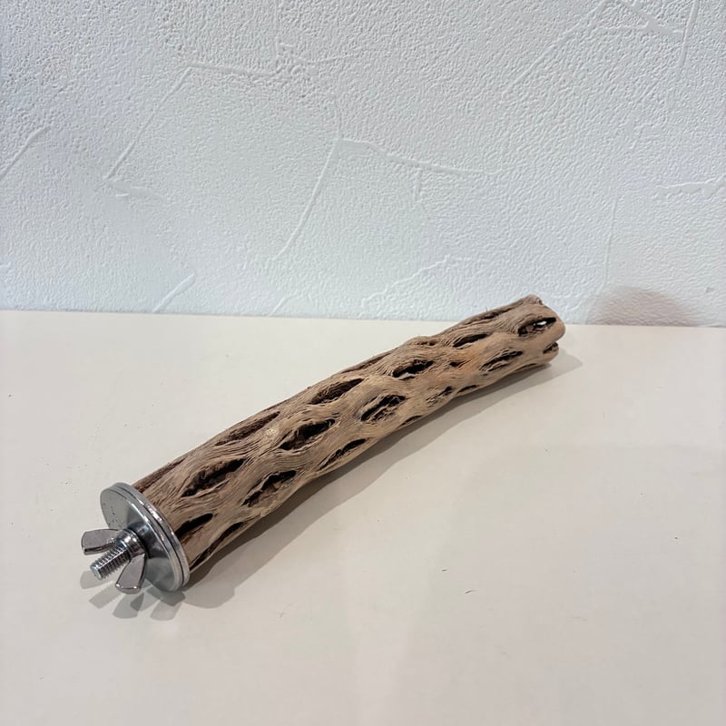 カクタスパーチ極小サイズ⑨ 直径2.5~3cm/長さ15cm【自然木 止まり木