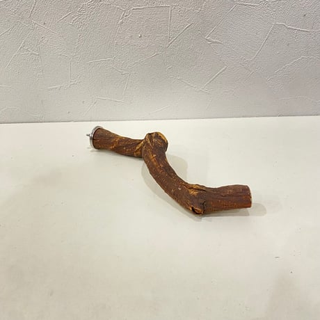 自然木（ツタ）パーチ⑩直径約2~2.5cm/長さ21cm