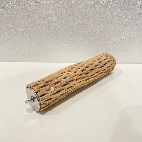カクタスパーチ⑫ 直径約5cm/長さ20cm