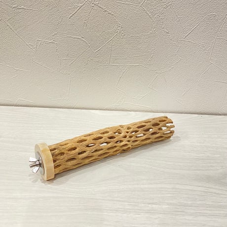 カクタスパーチ⑪小3-4㎝長さ20㎝