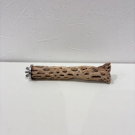 カクタスパーチ極小サイズ⑤ 直径約2.5cm/長さ15cm【自然木 止まり木 バンブルフット 趾瘤症 】