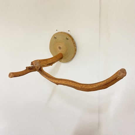 ピノキオの鼻 ⑥