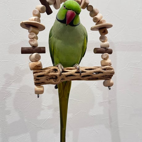 カクタスと天然ウッドビーズのブランコ【インコ おもちゃ バンブルフット予防】
