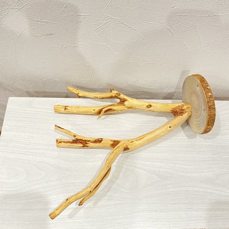 ピノキオの鼻 ②  貝塚伊吹