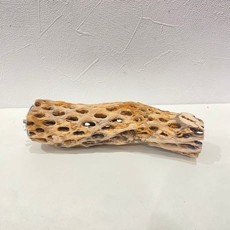 カクタスパーチ③ 直径約4.5~5cm/長さ18cm