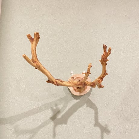 ピノキオの鼻 ⑩