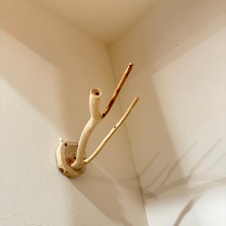 桧のピノキオの鼻 ②