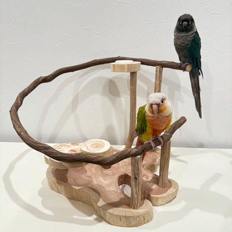 螺旋階段とツタのスタンドパーチ【インコのおもちゃ・ブランコ・自然木のとまり木】バードアスレチック