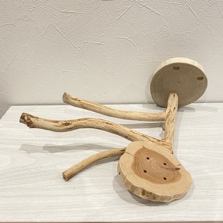 ピノキオの鼻 ①  貝塚伊吹