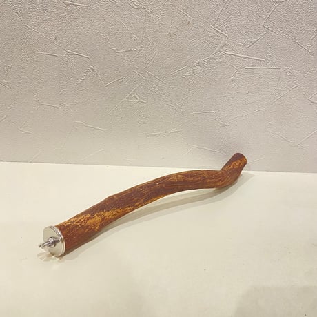 自然木（ツタ）パーチ 直径約2.5cm/長さ30cm