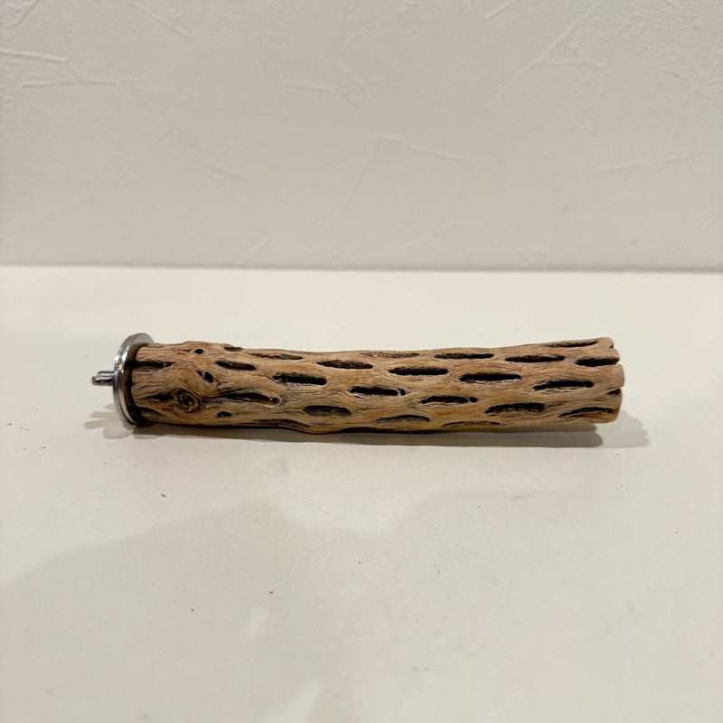 カクタスパーチ極小サイズ 直径2.7-3cm/長さ15cm⑬【自然木 止まり木