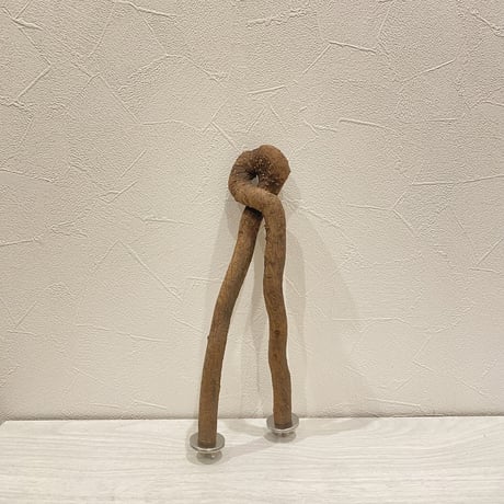 ファフ子の美脚パーチ（自然木ツタ）