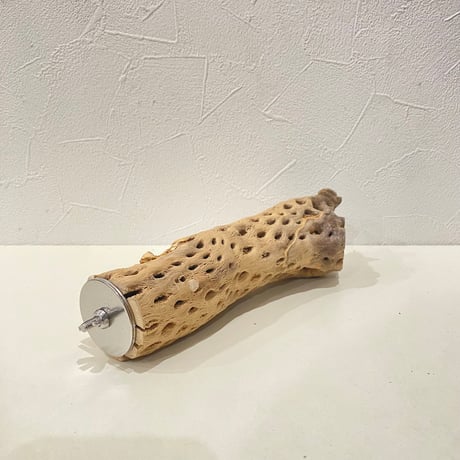 カクタスパーチ⑨  直径約5cm/長さ20cm