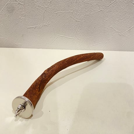 自然木（ツタ）パーチ 直径1.5~1.8cm/長さ20cm
