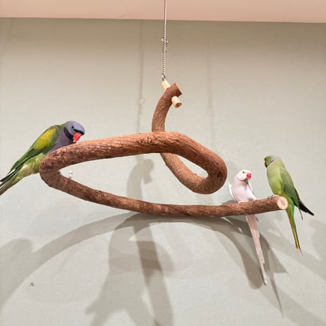 超でかいとぐろちゃんブランコ　【インコのおもちゃ 自然木】