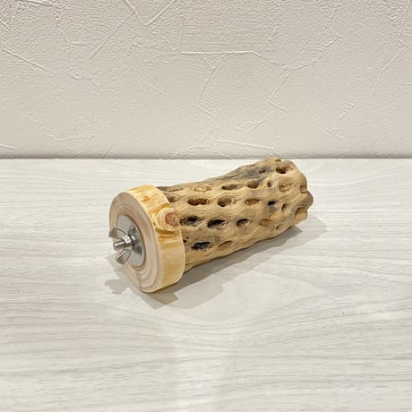 カクタスパーチ⑭ 中直径約5.5cm/13.5cm