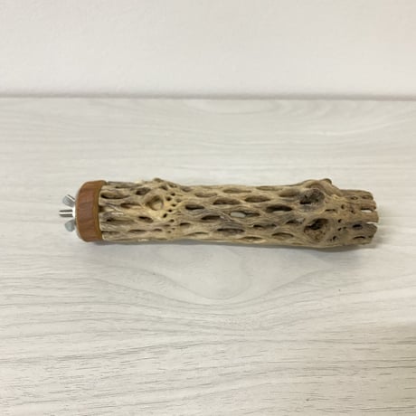 カクタスパーチ③ 極小サイズ 直径（約2-3cm）長さ/15cm
