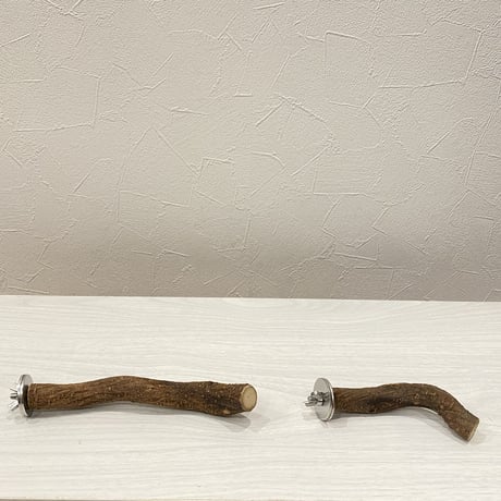 自然木（ツタ）パーチ① 2本セット