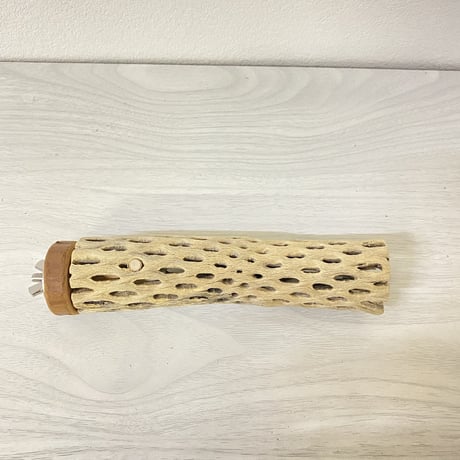 カクタスパーチ⑤ 小サイズ直径（約3-4cm）／15.5cm