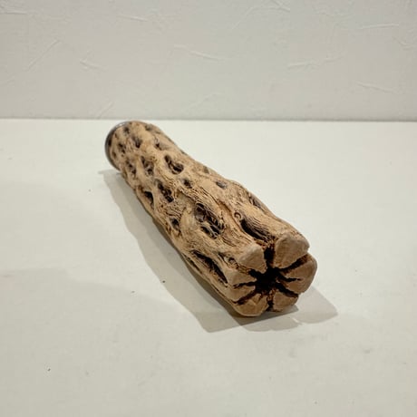 カクタスパーチ極小サイズ 直径2.7-3cm/長さ15cm⑥【自然木 止まり木 バンブルフット 趾瘤症 】