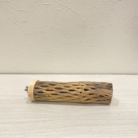 カクタスパーチ【15】 小直径3.5cm/15cm