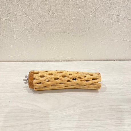 カクタスパーチ⑧  小 直径約4cm 長さ15cm