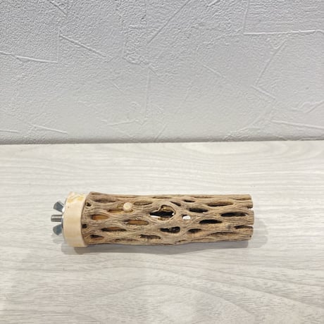 カクタスパーチ極小① 直径約2~3cm 長さ10cm