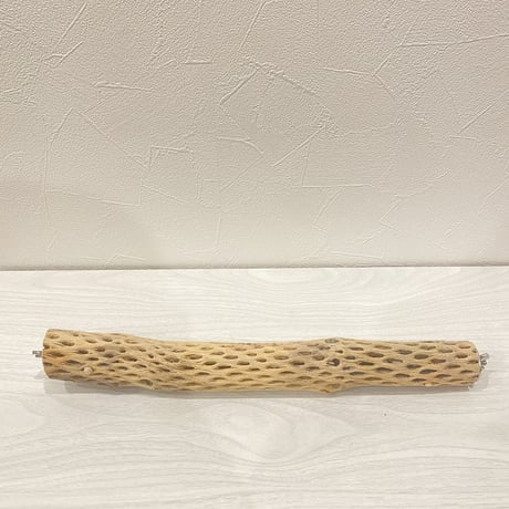 【M様専用】カクタスパーチ 小サイズ 直径（約3.5cm）長さ/34cm