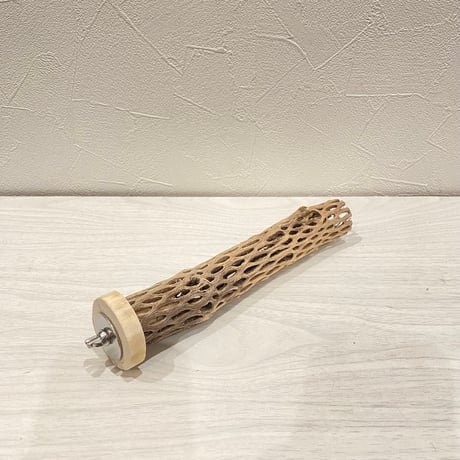 カクタスパーチ極小2-3㎝長さ20㎝ ④