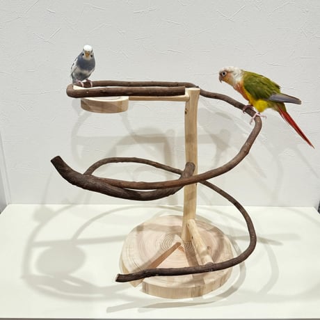 ツタのぐるぐるバードアスレチック【インコのおもちゃ・自然木のとまり木】
