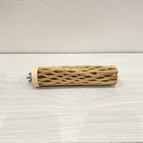 カクタスパーチ【20】小 直径約3-4cm/15cm