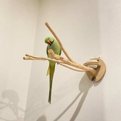 ピノキオの鼻 ③  おやつ入れ付き