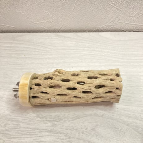 カクタスパーチ【A】小　直径3.5cm前後 長さ10cm