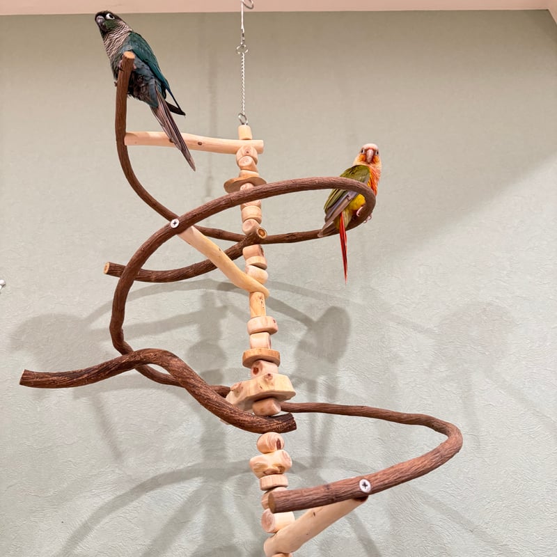 コトリのなる木カスタム つり下げゆらゆらバードアスレチック 【インコ