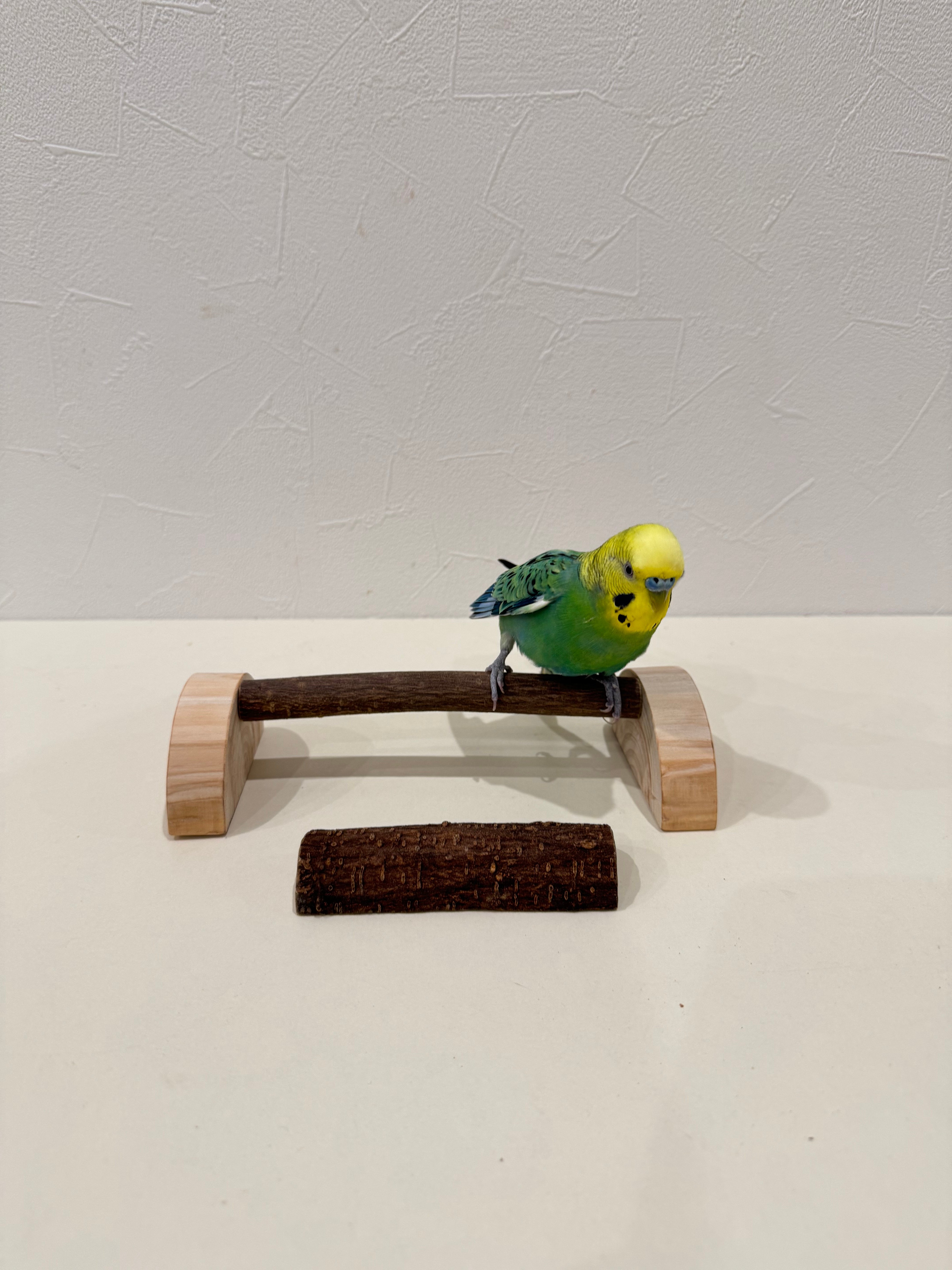 幼鳥、病鳥、老鳥　3（スリー）セット♪ original