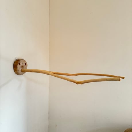 桧のピノキオの鼻②