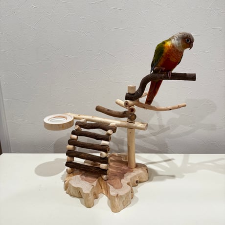 【Y様専用】ハシゴのツリーアスレチック 【インコ天然木 自然木 パーチ 止まり木】